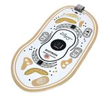 Playtronica Biotron Midi Controller