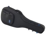 Reunion Blues Expedition Semi-Hollow Gigbag