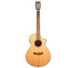 Breedlove Discovery S Concert Nylon CE