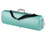 Gewa Pure Vn Case OC Fun G/G