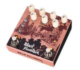 Old Blood Noise Endeavors Black Fountain Stereo Delay TE