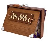 Thomann Nataraj Prof. Shruti Box F/P