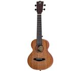 Flight NUC500 Concert