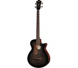 Ibanez AEGB25E-TKH