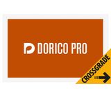 Steinberg Dorico Pro 6 Crossgrade