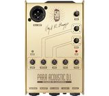 L.R.Baggs Para DI Gold Edition
