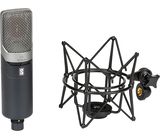 Slate Digital ML-1A