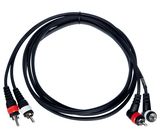 the sssnake ARR2020