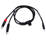 pro snake TPY 2009 UCRR