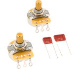 Fender Telecaster Poti & Cap Kit