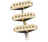 Fender Ancho Poblano Strat Set