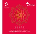 Galli Strings OUD25 Arabic CC Tuning FC
