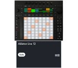Ableton Push 3 Standalone - Live Suite