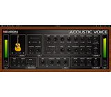 Nembrini Audio Acoustic Voice Guitar Preamp