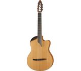 NOVA Guitars Innovator w/PU