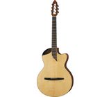 NOVA Guitars Revelator w/PU
