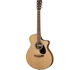 Martin Guitar SC-10E Modern