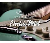 Native Instruments SessionGuitarist Electric Mint