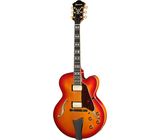 Ibanez AF115-AWB