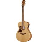 Taylor Academy 12e LH Wal/Euca