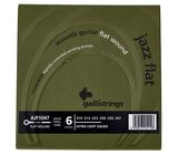 Galli Strings AJF1047 Acoustic Guitar Str.