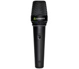 Lewitt MTP 5 S
