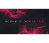 Native Instruments Scene: Bloodplant