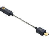 ifi Audio GO link 2