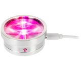 Ape Labs ApeCoin USB-C