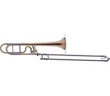 Schagerl Bb/F-Trombone Salzburg GB
