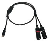 DAP-Audio FL115 USB-C to 2x XLR/M 0.75m