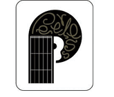 Peerless Guitars