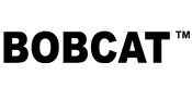 Bobcat