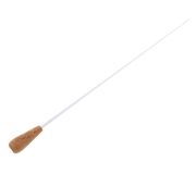 Pickboy Carbon Baton Model D