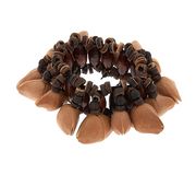Terre Bracelet Shaker Cha Cha Nut