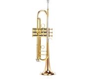 Carol Brass CTR-5060H-GSS-Bb-L