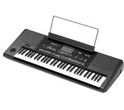 Korg PA-300