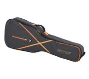 Ritter RGS7 Classical 4/4 Guitar MGB