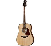 Takamine GD10-N