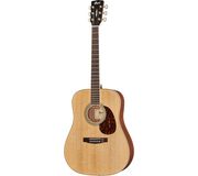 Cort Earth 100 NS