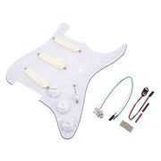 EMG DG-20 David Gilmour B-Stock EMG DG-20 David Gilmour B-Stock