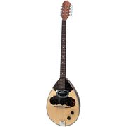 Gewa Greek Bouzouki Schaller PU Gewa Greek Bouzouki Schaller PU