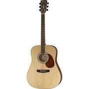 Cort Earth 100 NS Cort Earth 100 NS