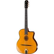 Gitane DG-250 Gitane DG-250