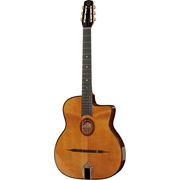 Gitane DG-255 Gitane DG-255