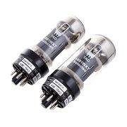 TAD RT312 Tube 5881 WXT-R Duett TAD RT312 Tube 5881 WXT-R Duett