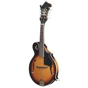 Tennessee Mandolin F1 F-Hole Tennessee Mandolin F1 F-Hole