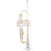Kanstul MAR 991 Bb- Trumpet B-Stock Kanstul MAR 991 Bb- Trumpet B-Stock