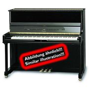 Irmler P 122 E Professsional Irmler P 122 E Professsional