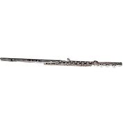 Verne Q. Powell Conservatory Flute RBE B-Stock Verne Q. Powell Conservatory Flute RBE B-Stock